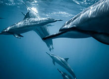 开云登录入口：一次登录，开启全域高效与安全未来