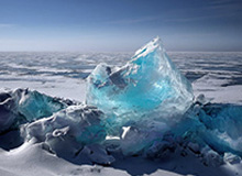 必赢：让每一步都通向胜利的路径